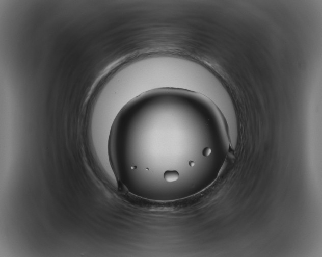 X0000086780440200705041531