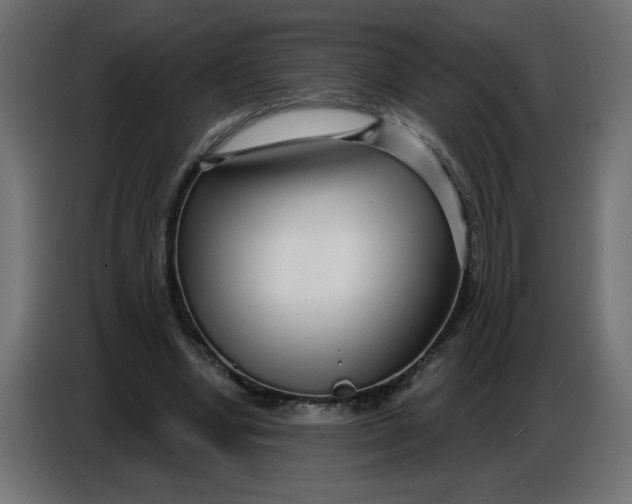 X0000086780442200705041531