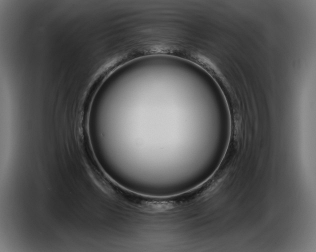 X0000086780443200705041531