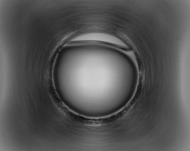 X0000086780444200705041531