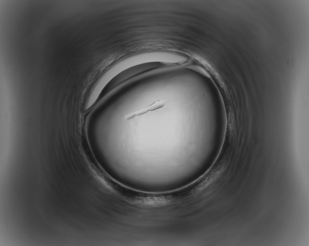 X0000086780445200705041531