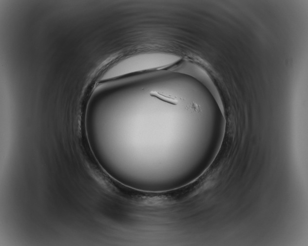 X0000086780446200705041531