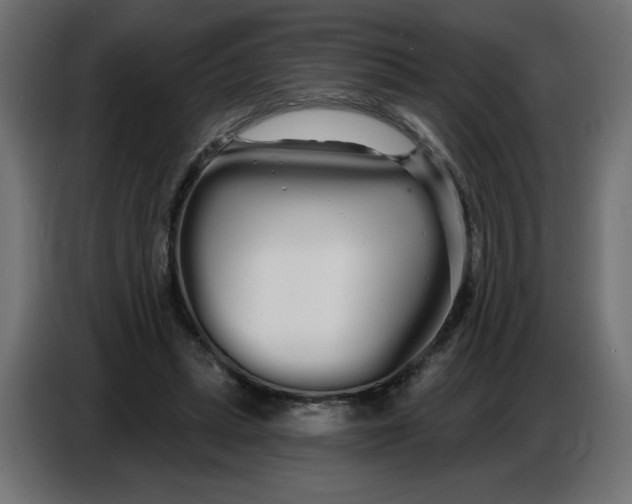 X0000086780447200705041531