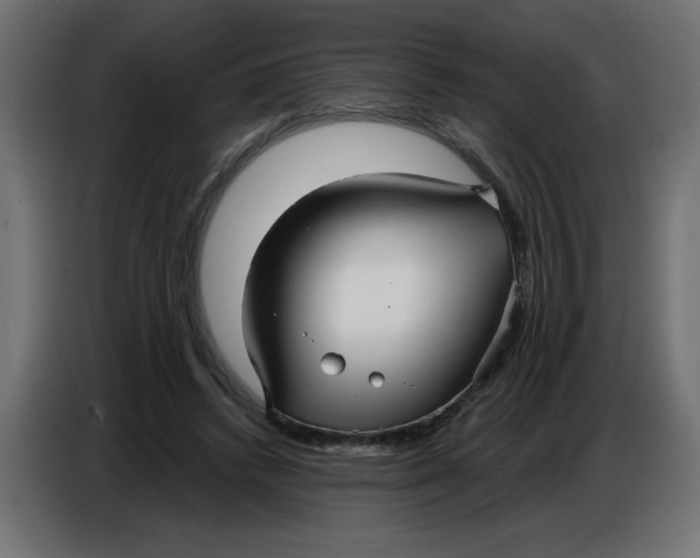 X0000086780448200705041531