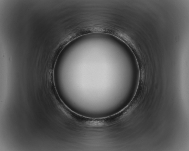 X0000086780449200705041531