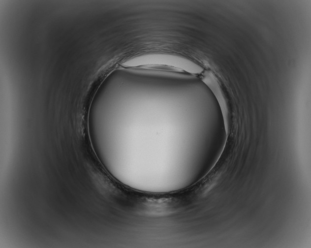 X0000086780450200705041531