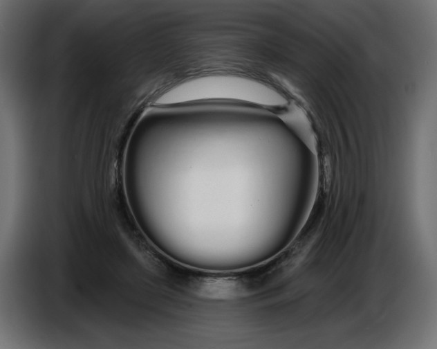 X0000086780451200705041531