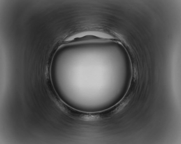 X0000086780453200705041531