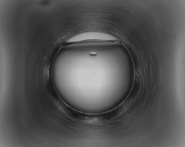 X0000086780454200705041531