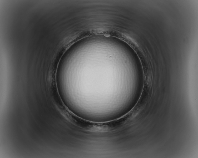 X0000086780455200705041531