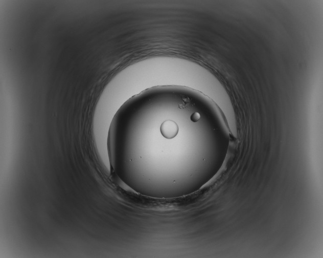 X0000086780456200705041531