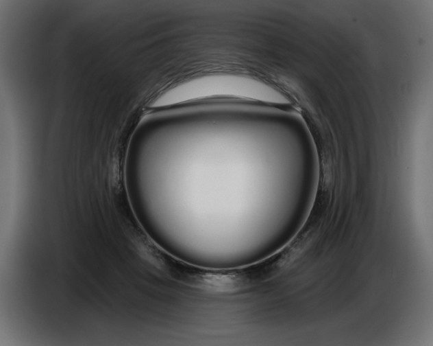 X0000086780457200705041531