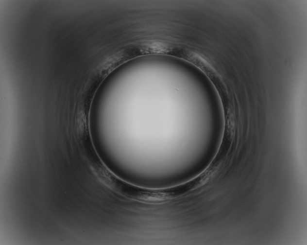 X0000086780459200705041531