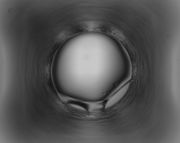 X0000086780461200705041531