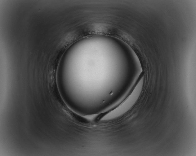 X0000086780462200705041531