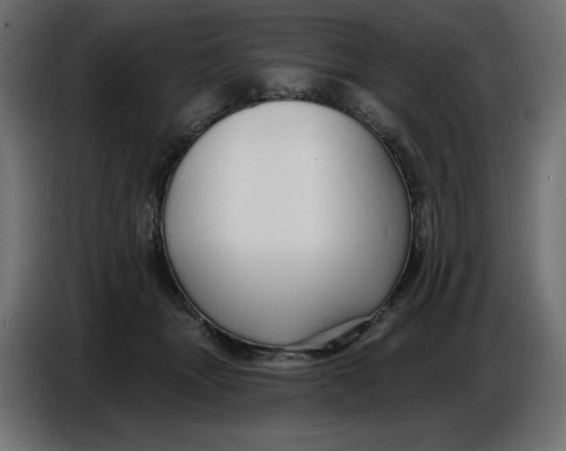 X0000086780463200705041531