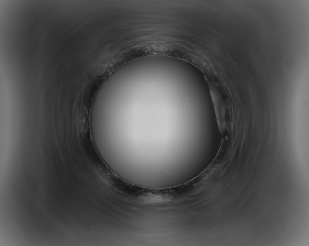 X0000086780464200705041531