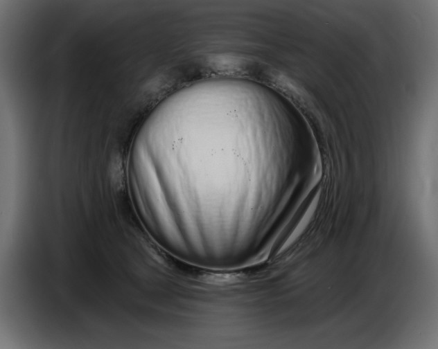 X0000086780465200705041531