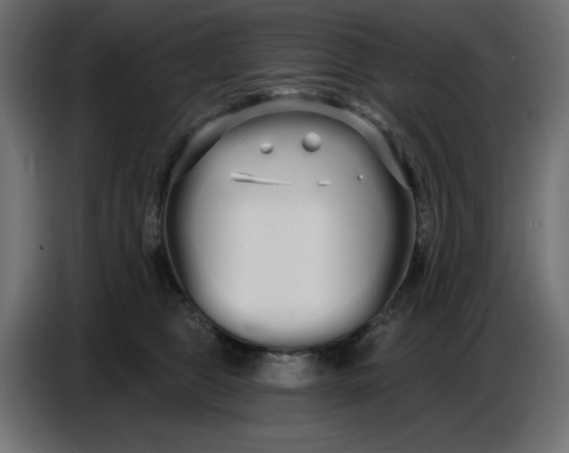 X0000086780469200705041531