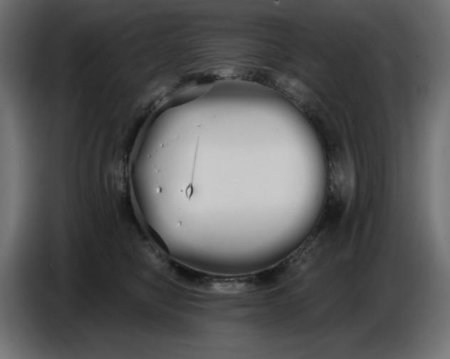 X0000086780470200705041531