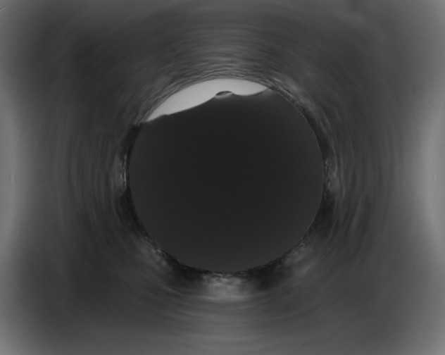 X0000086780471200705041531