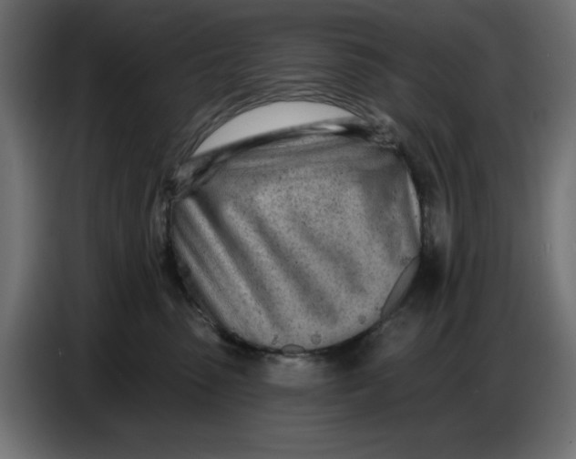 X0000086780475200705041532