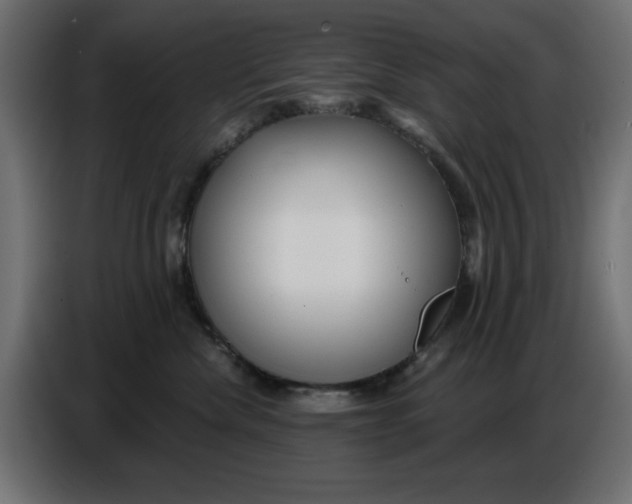 X0000086780476200705041532