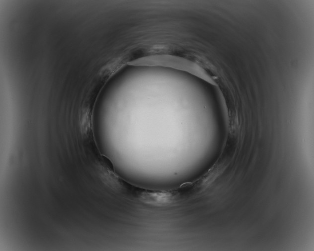 X0000086780478200705041532