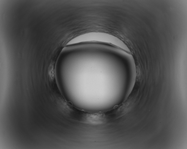 X0000086780479200705041532