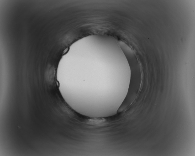 X0000086780480200705041532