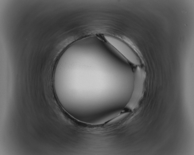 X0000086780481200705041531