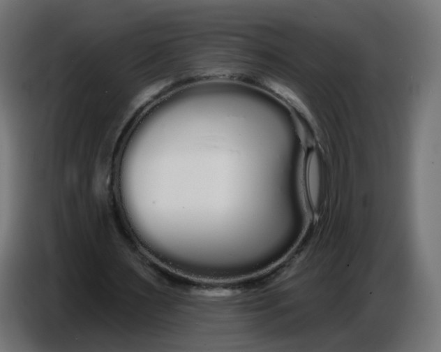 X0000086780483200705041531