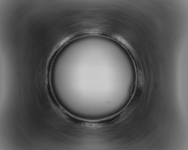 X0000086780486200705041531