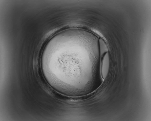 X0000086780487200705041531