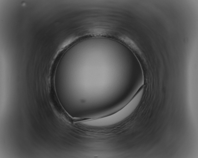 X0000086780488200705041531