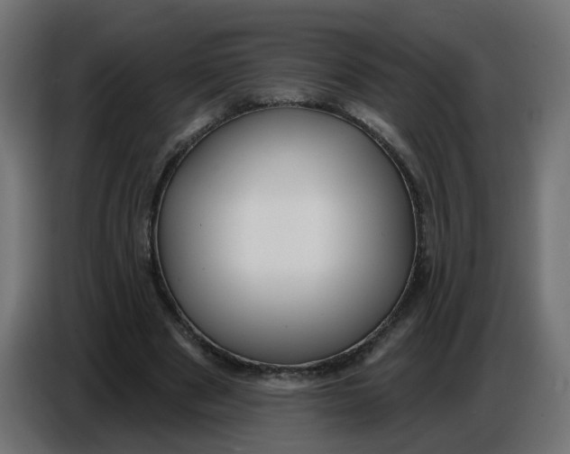 X0000086780489200705041531