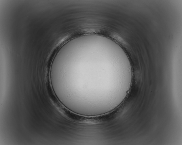 X0000086780490200705041531