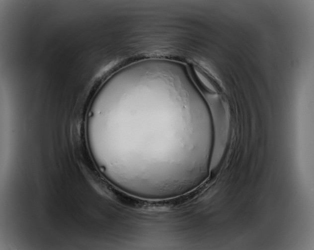 X0000086780491200705041531