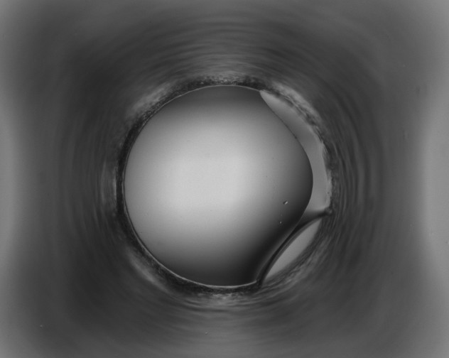 X0000086780493200705041531