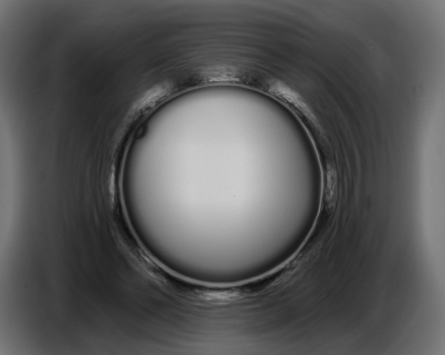 X0000086780494200705041531