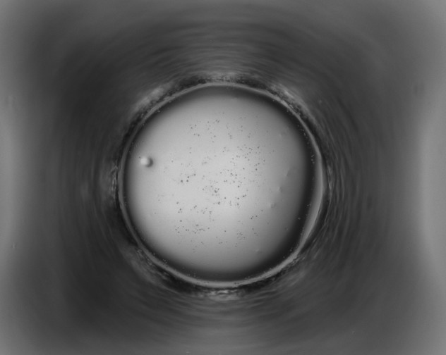 X0000086780495200705041531