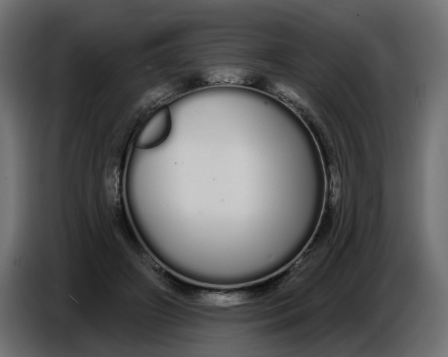 X0000086780498200705041531