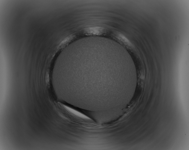 X0000086780500200705041531