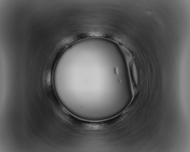 X0000086780502200705041531