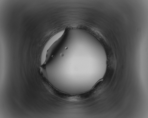 X0000086780505200705041531