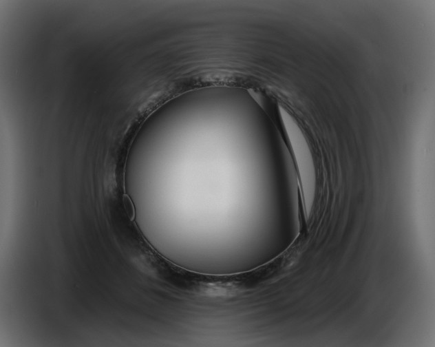 X0000086780508200705041531