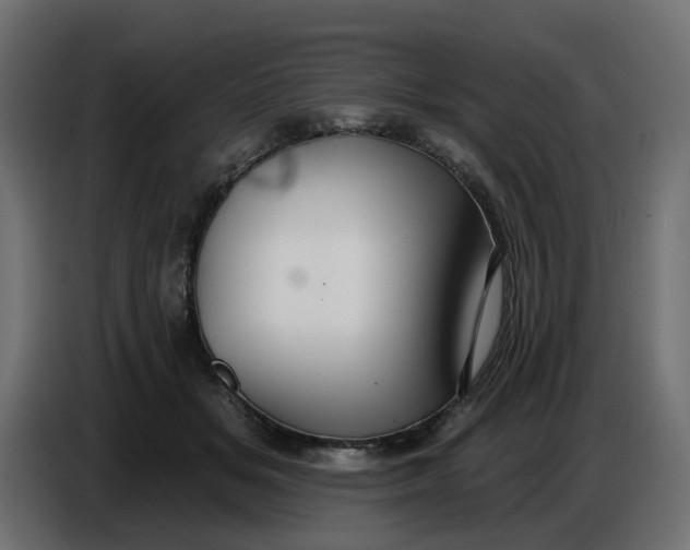 X0000086780509200705041531