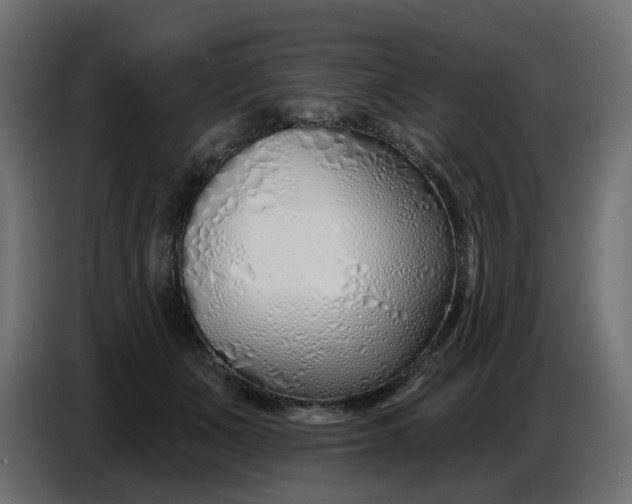 X0000086780511200705041531