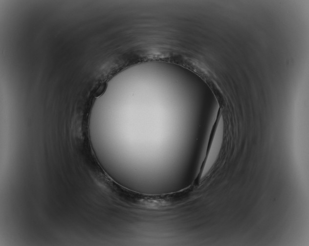 X0000086780512200705041531