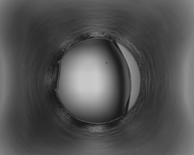 X0000086780513200705041531